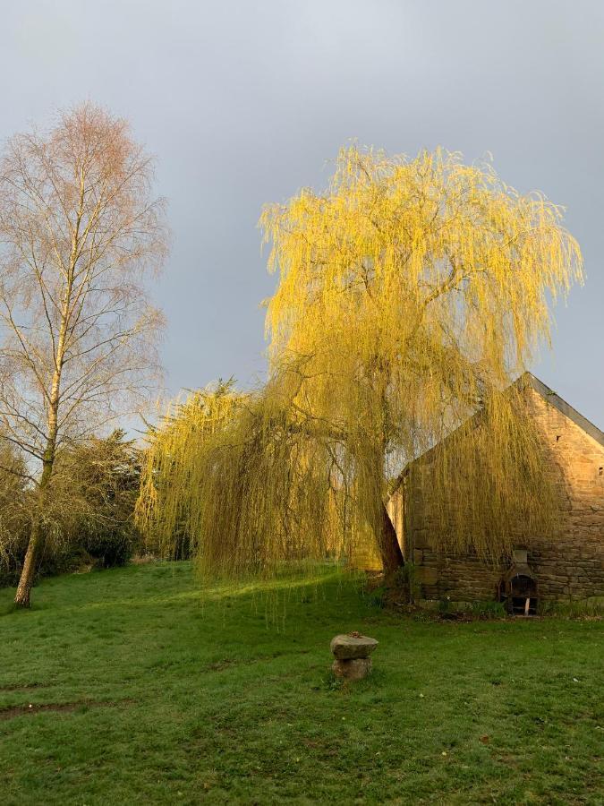 Domaine De La Blanche Hermine Plounerin Esterno foto