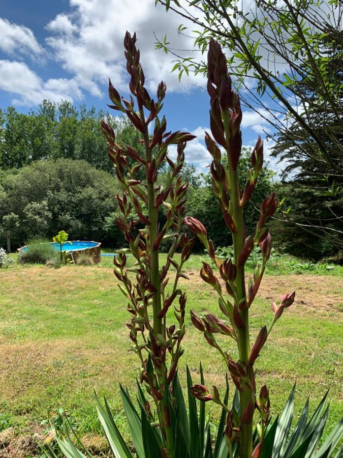 Domaine De La Blanche Hermine Plounerin Esterno foto