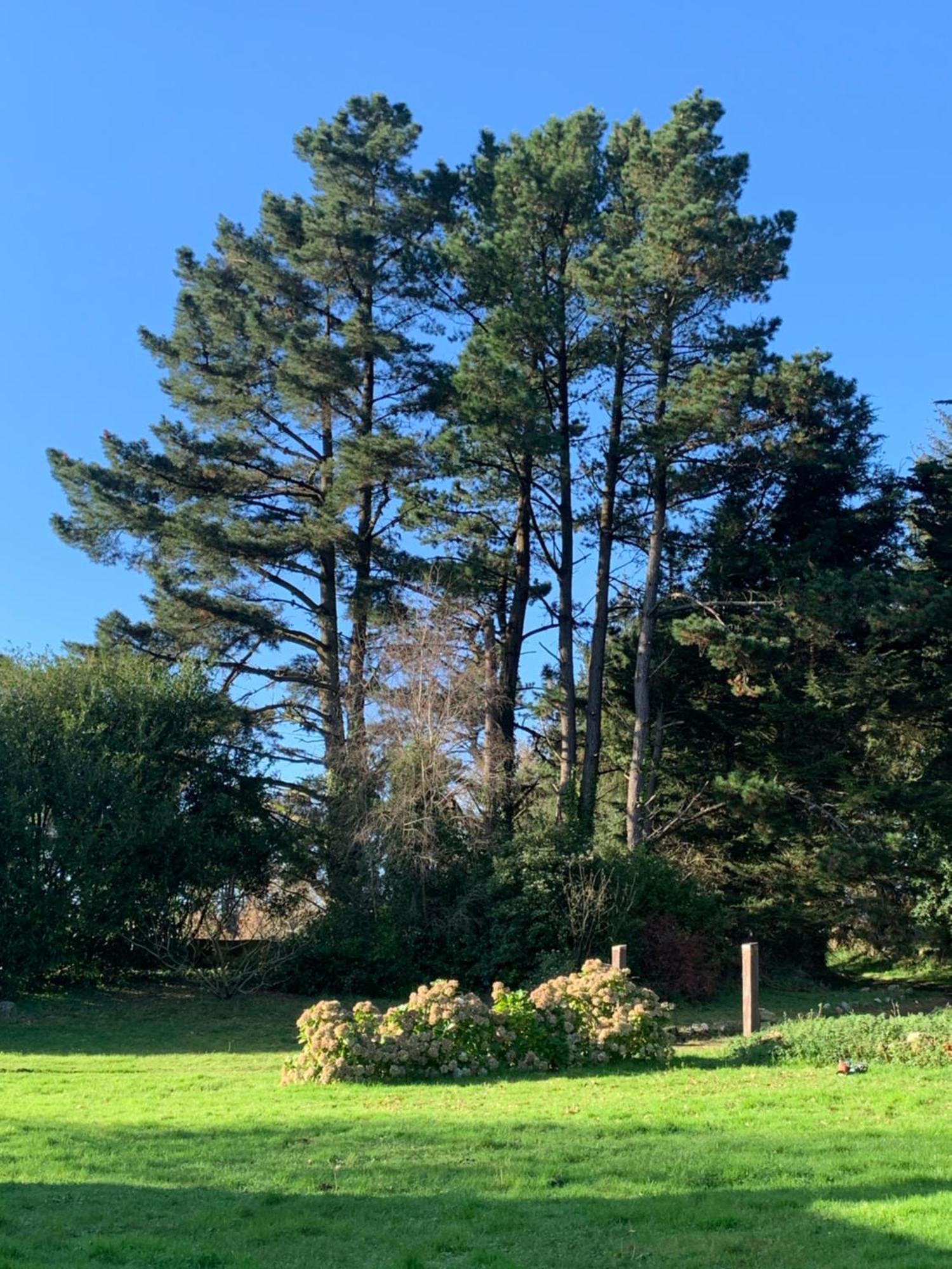 Domaine De La Blanche Hermine Plounerin Esterno foto